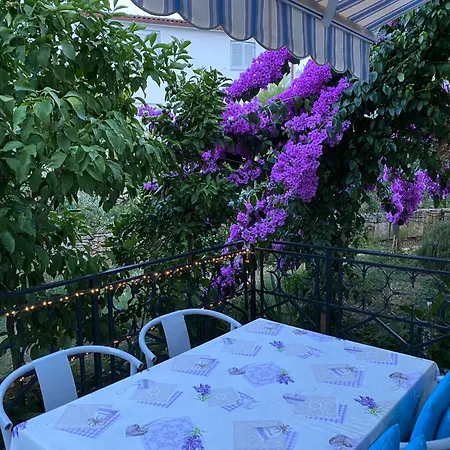 ゲストハウス Nora ロヴィニ