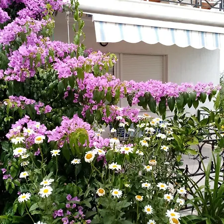 ゲストハウス Nora