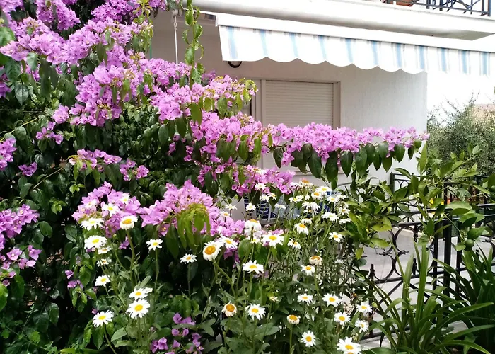 Gostinjska kuća Nora